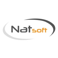 Natsoft Company Logo