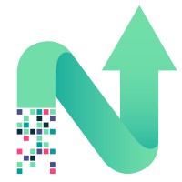 NEXT Data Service AG Company Logo