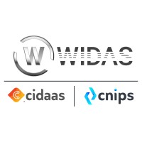 Widas Group Company Logo