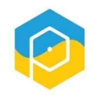 Peeklogic Company Logo