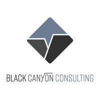Black Canyon Consulting LLC Company Logo