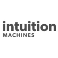 Intuition Machines Company Logo