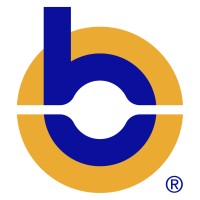 Bluepeak Company Logo