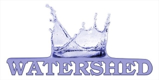 Watershed Security Company Logo