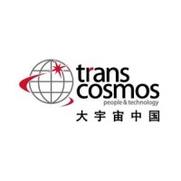 上海特朗思大宇宙信息技术服务有限公司 Company Logo
