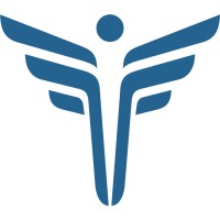 FEI Systems Company Logo