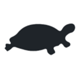 Black Turtle Company Logo