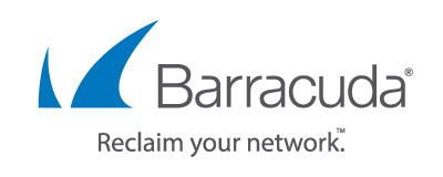 Barracuda Networks Inc. Company Logo