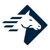 Paladin Technologies Company Logo