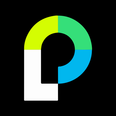 Passport Technology Logo/Icon