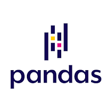 pandas python Technology Logo/Icon