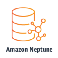 Amazon Neptune Technology Logo/Icon