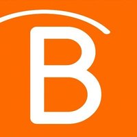 Bistri Technology Logo/Icon