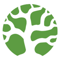Bonsai Technology Logo/Icon