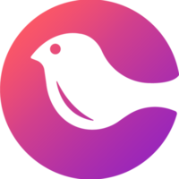 Courier Technology Logo/Icon