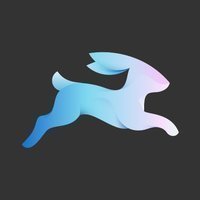 Directus Technology Logo/Icon