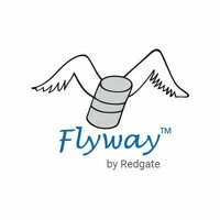 Flyway Technology Logo/Icon