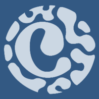 Gemini Technology Logo/Icon