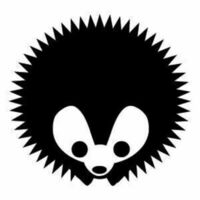 Igel Technology Logo/Icon