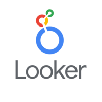 Looker Technology Logo/Icon
