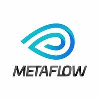 Metaflow Technology Logo/Icon