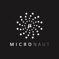Micronaut Framework Technology Logo/Icon