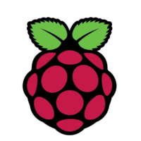 Raspberry Pi Technology Logo/Icon