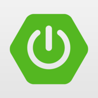 Spring Boot Technology Logo/Icon