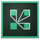 Adobe Connect Technology Logo/Icon