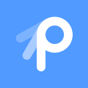 Perf Technology Logo/Icon