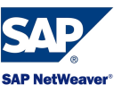 SAP NetWeaver Technology Logo/Icon