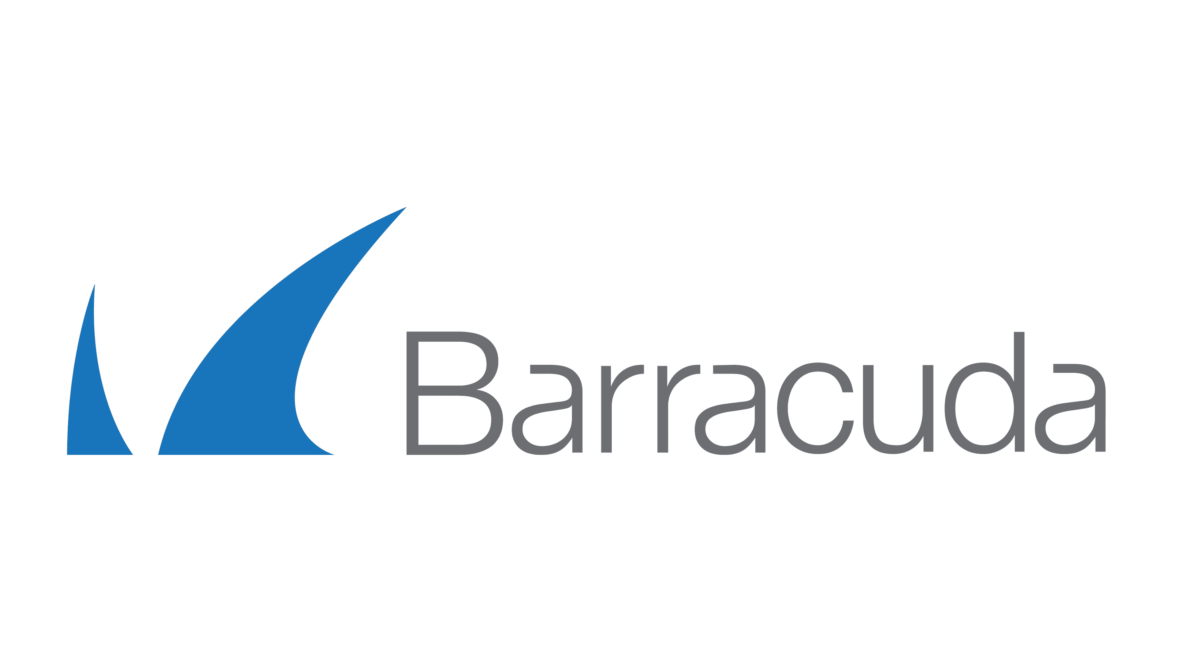 Barracuda Networks Technology Logo/Icon