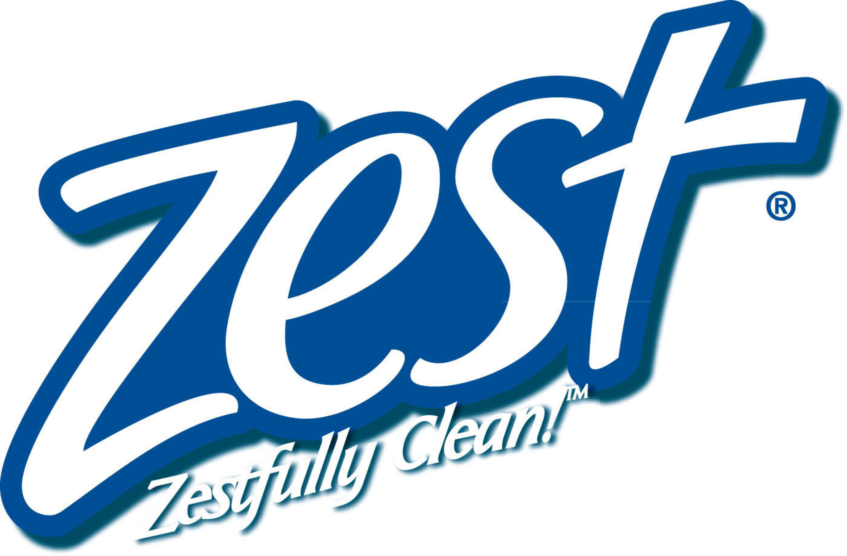 Zest Technology Logo/Icon