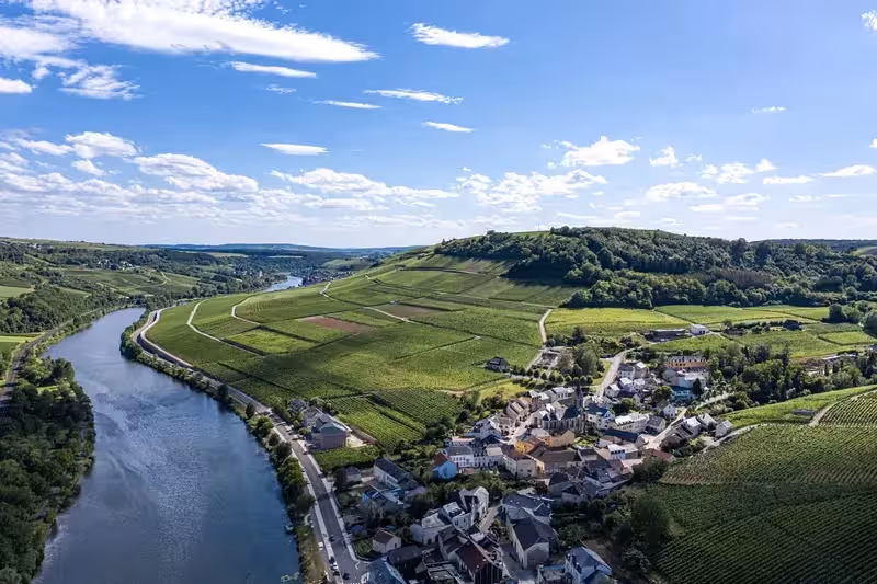 Moselle