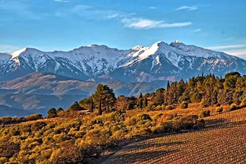 Pyrénées-Orientales