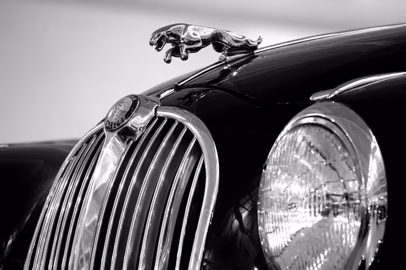 Calandre Jaguar