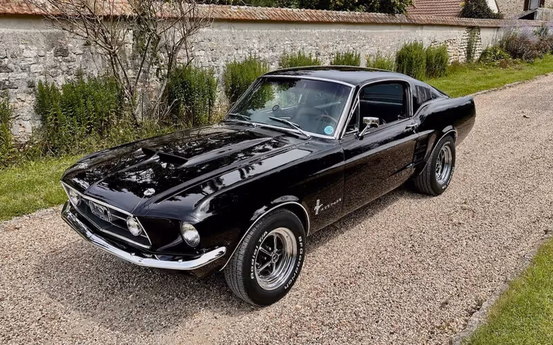 Fastback