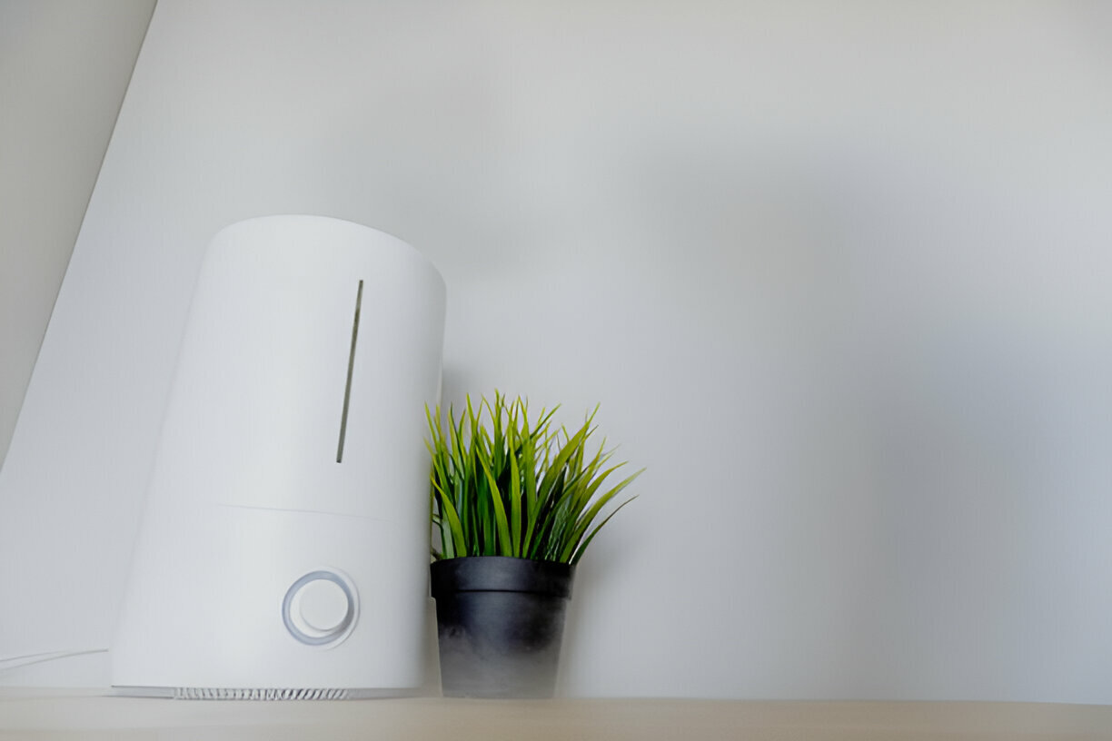White air purifier with small green plant in black pot on minimalist surface