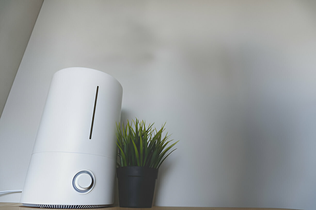 White air purifier next to small potted grass on minimalist surface