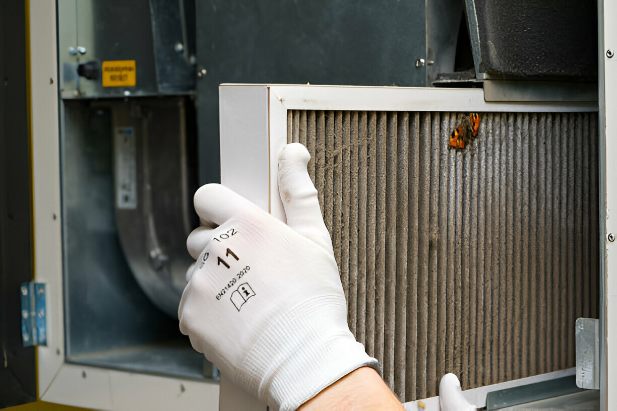 Gloved hand checking a dirty air filter with a butterfly nearby