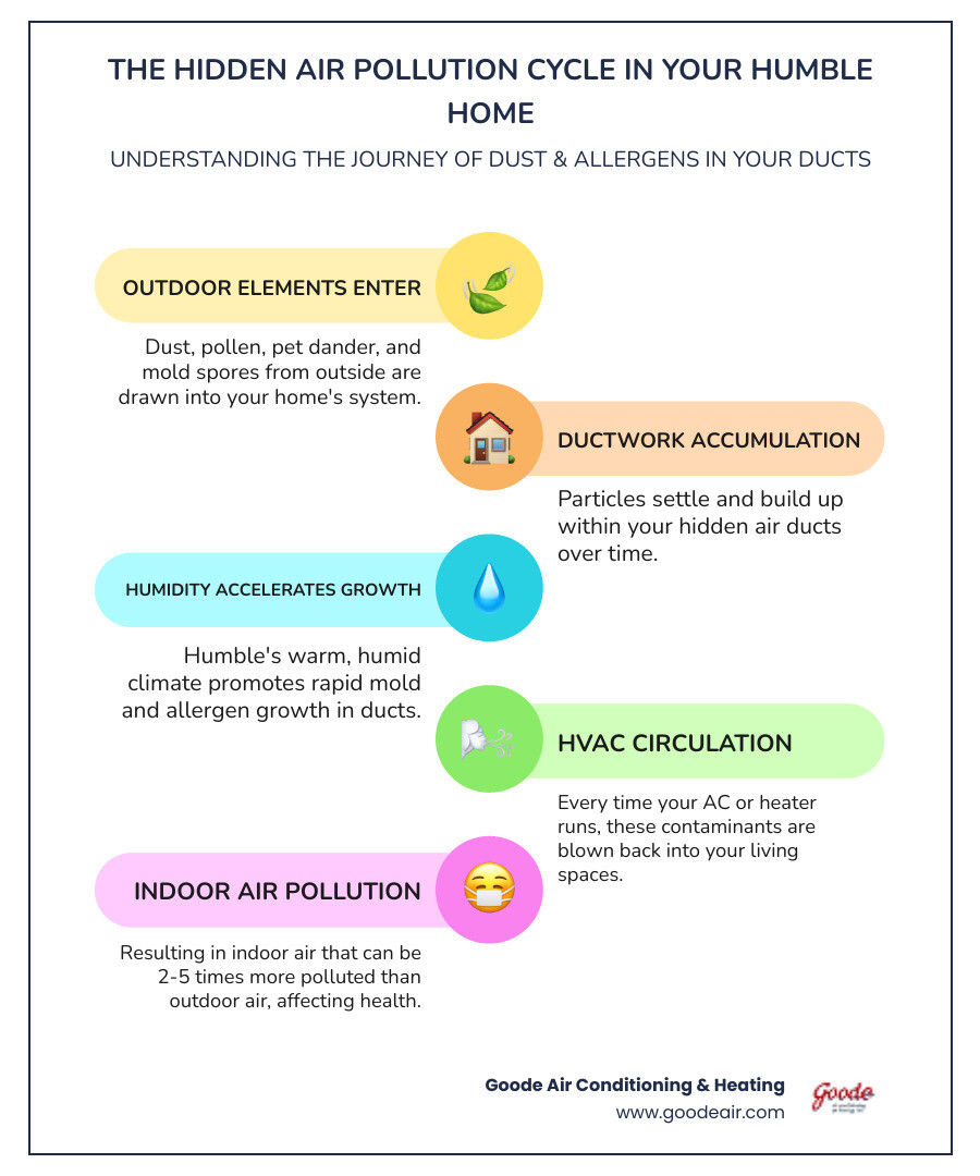 Infographic showing the journey of dust, pollen, pet dander, and mold spores from outside into home air ducts, accumulating over time, then circulating back into living spaces through vents, with callouts for Humble's humid climate accelerating buildup and average household dust production of 40 pounds per year - best duct cleaning in humble, tx infographic infographic-line-5-steps-colors