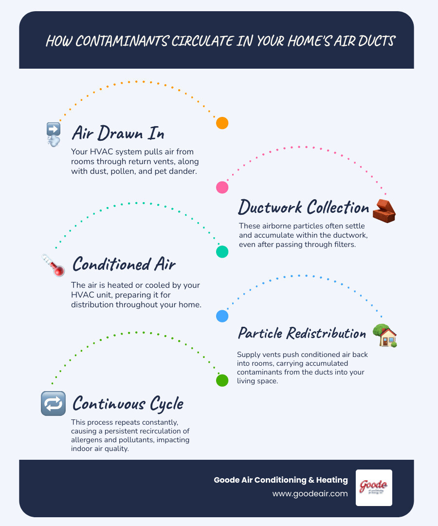 infographic showing how dust, pollen, pet dander, and mold spores circulate through a home's HVAC ductwork system, with arrows indicating airflow from return vents through the air handler and back out through supply vents - air vent cleaning in kingwood, tx infographic infographic-line-5-steps-blues-accent_colors