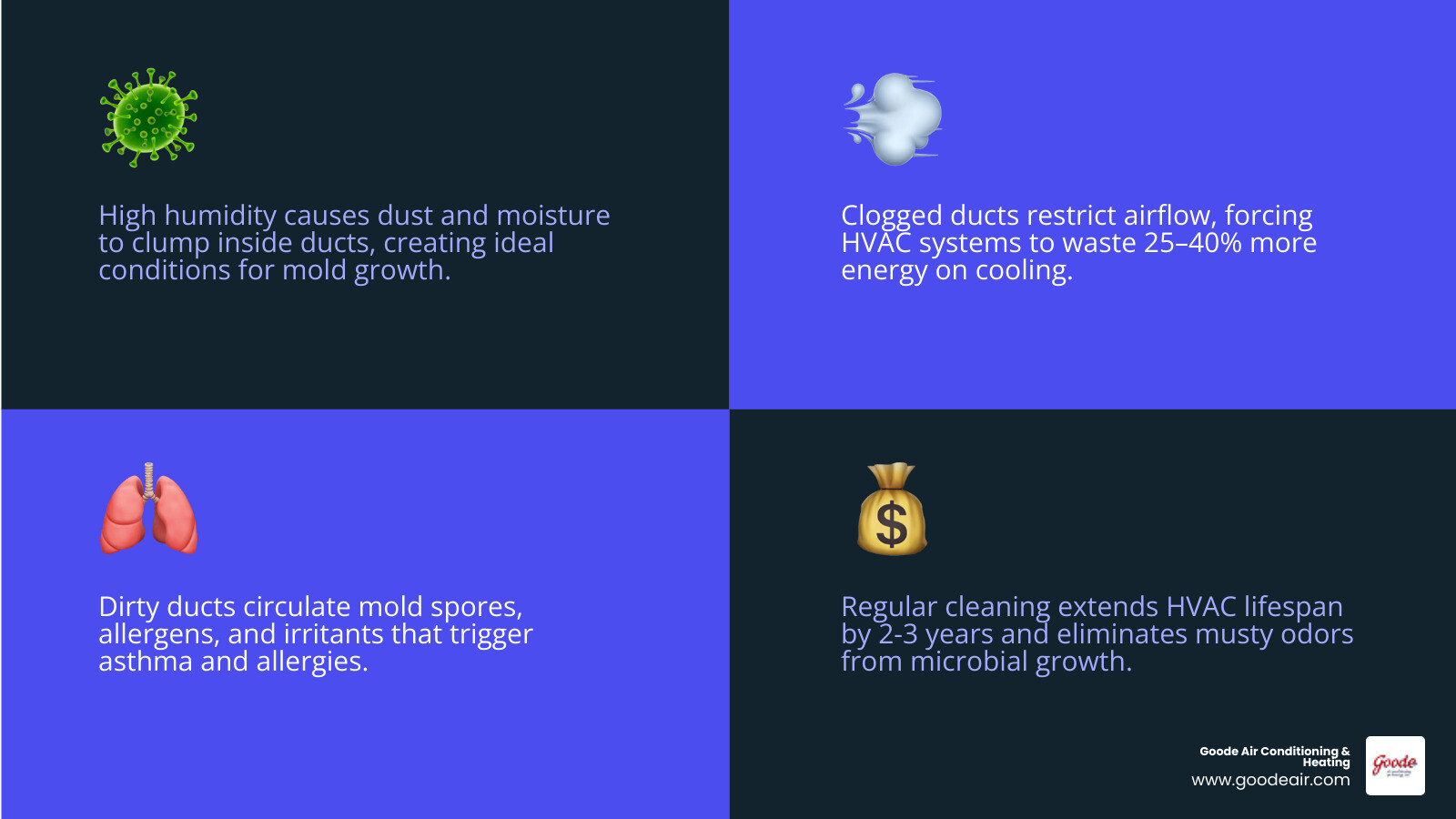 Infographic showing duct detox process benefits for humid climate homes including mold prevention, air quality, and energy
