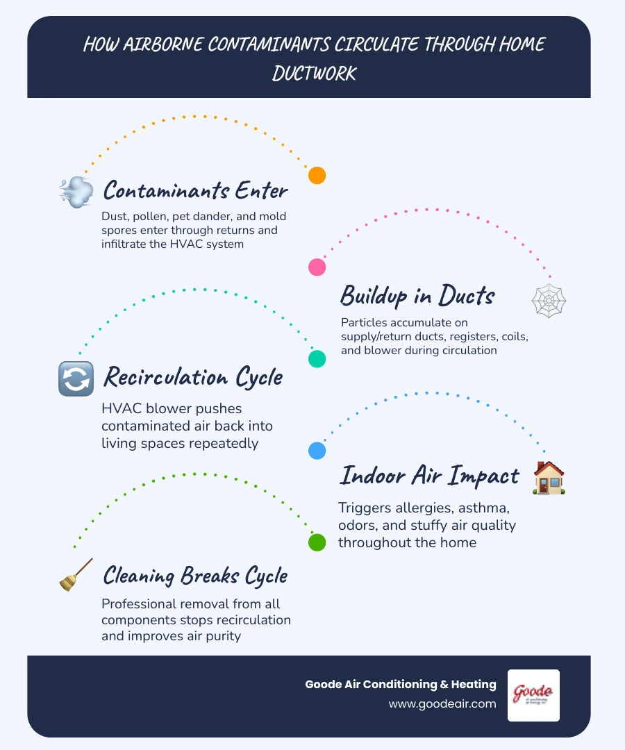 Infographic showing how airborne contaminants circulate through home ductwork and affect indoor air quality - how duct Infographic showing how airborne contaminants circulate through home ductwork and affect indoor air quality - how duct