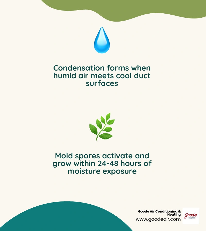 24-hour moisture to mold timeline in HVAC ductwork infographic infographic 24-hour moisture to mold timeline in HVAC ductwork infographic infographic