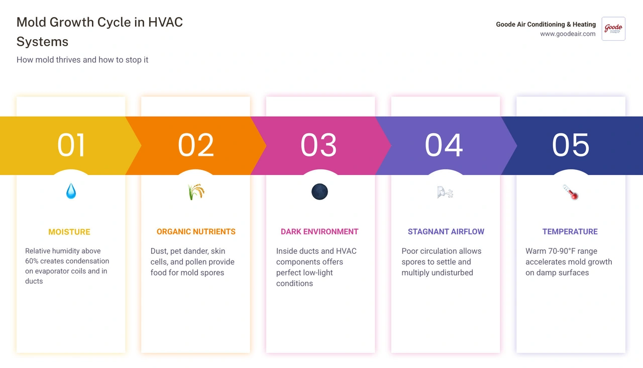Infographic showing the mold growth cycle in HVAC systems including moisture sources, organic food sources, and prevention Infographic showing the mold growth cycle in HVAC systems including moisture sources, organic food sources, and prevention