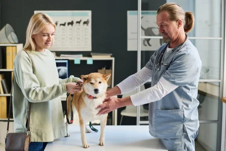 Image of two doctor checking a dog