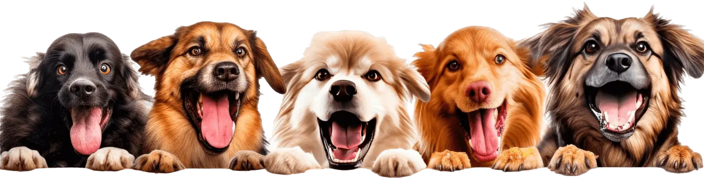 Image of group of animals