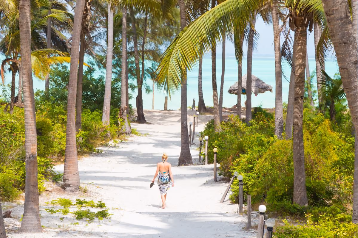 Sunny season on the east coast of Zanzibar