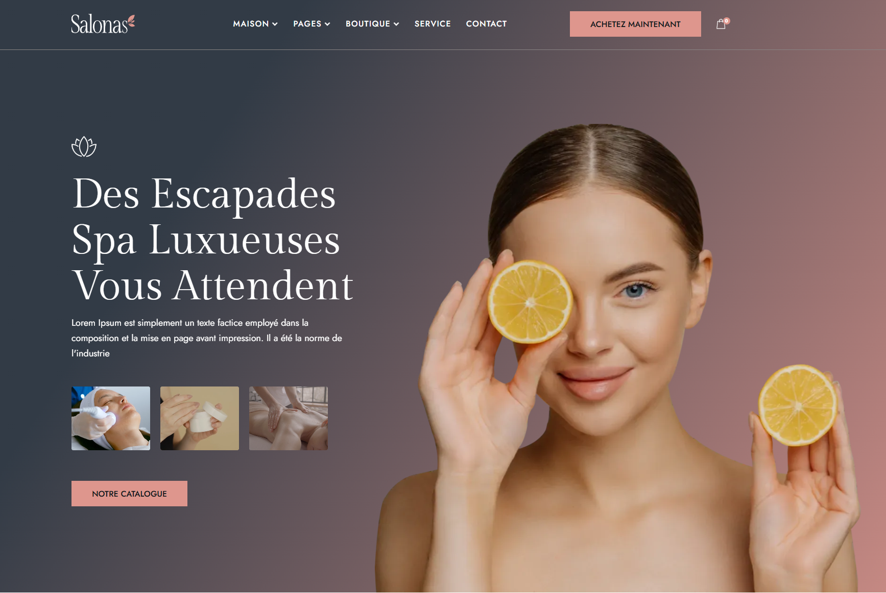 Aperçu d’un site web réalisé, exemple de notre portfolio.